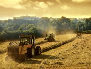 Çiftçiye toprak satışı nisanda başlayacak
