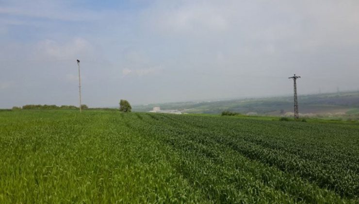 25,5 milyon TL’lik satış Ankara’da gerçekleşecek