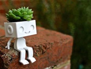 Bu saksılar gülüyor