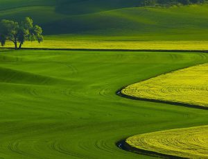 ADÜAŞ 6 ilde arsa satıyor