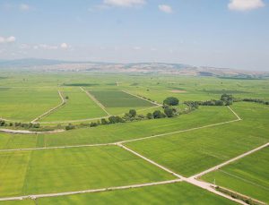 Türkiye’nin 5 ilinde 40 milyon TL’lik satış