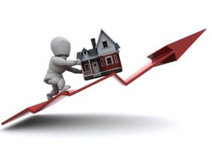 Nef, Jüri Özel Ödülü’nü alan tek gayrimenkul firması oldu