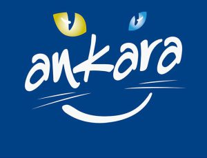 Ankara Büyükşehir Belediyesi, 10 arsayı satışa çıkardı!