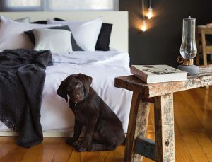 Blinen ile yenilikçi yatak odaları