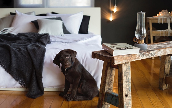 Blinen ile yenilikçi yatak odaları