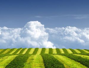 6 ilde 11 satış gerçekleşecek