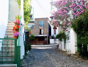 Gökçeada Belediyesi, 2 milyon 700 bin TL’ye 4 taşınmaz satıyor!