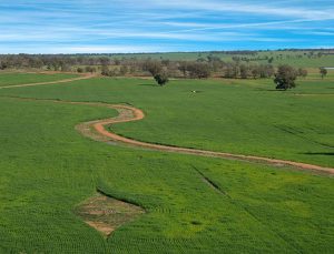 Erzincan Geçit Belediyesi, 2 milyon 247 bin liraya arsa satıyor