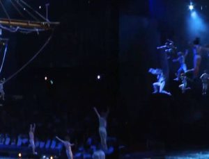 Watergarden İstanbul’un renkli dünyasıyla tanışın