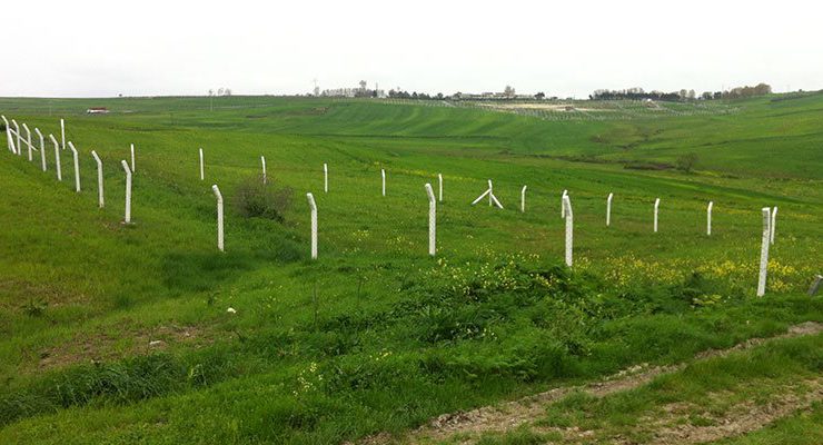 Arnavutköy’de icradan satılık bahçeli ev