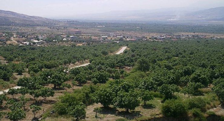 Aydın Buharkent’te 2,5 milyon TL’ye 191 dönüm arazi