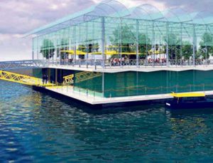 Hollandalılar yüzen çiftlik yapacak