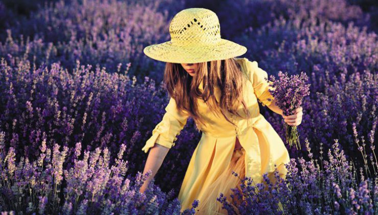 Sakinşehir Seferihisar lavanta kokacak