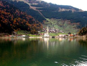 Araplar Türkiye’de serin yerleri tercih ediyor