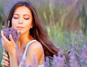 Isparta Kuyucak Köyü’nü lavanta kokusu sardı