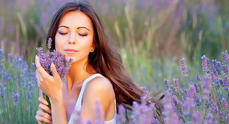 Isparta Kuyucak Köyü’nü lavanta kokusu sardı