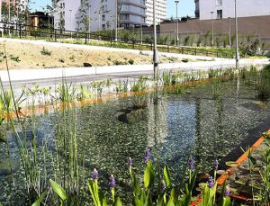 Bağcılar Güneşli Semt Parkı hizmete girdi