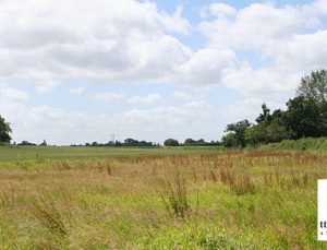 tta gayrimenkul 10 ilde arsa, bina, ofis ve konut satıyor