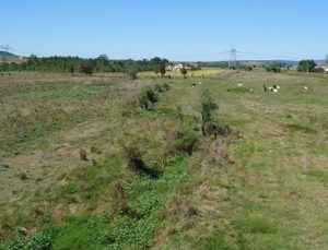 Salihli Belediyesi 12 adet arazi, arsa ve bina satacak