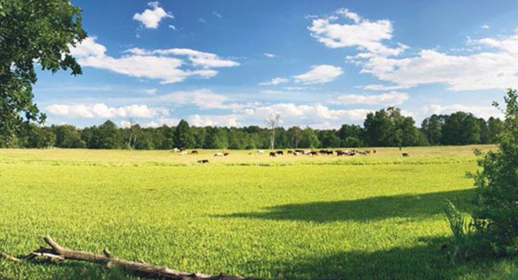 ADÜAŞ 5 ilde taşınmazlarını özelleştiriyor