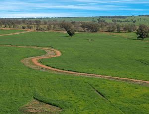 Özelleştirme idaresinden 6 ilde 16 gayrimenkul