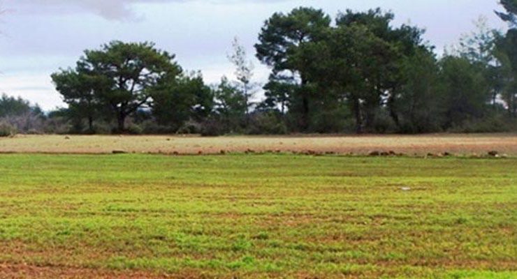 Özelleştirme İdaresi’nden satılık 4 arsa