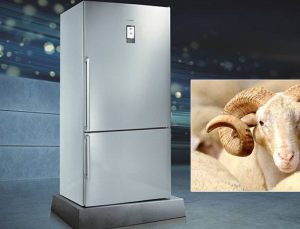 Siemens’in XXL beden buzdolapları kurban bayramını bekliyor