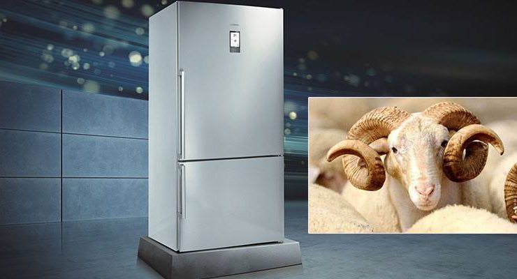 Siemens’in XXL beden buzdolapları kurban bayramını bekliyor