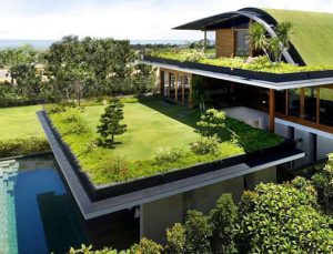 ÇATIDER: Yeşil çatı uygulamalarının artmasını destekliyoruz