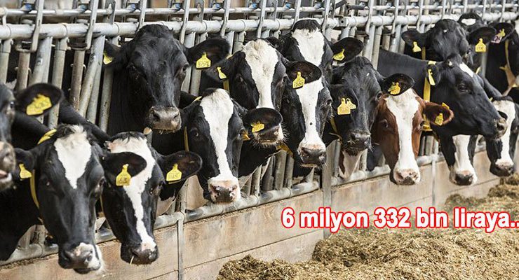 Mehmet Özçağlar Süt Ürünleri’nin çiftliği icradan satılıyor