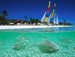 Dünyadan kaçan jet sosyete, Pamalican Adası’na sığınıyor