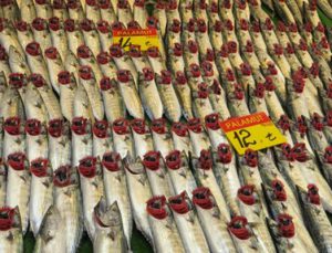 İBB Yenikapı’ya balıkçılar çarşısı yaptırıyor