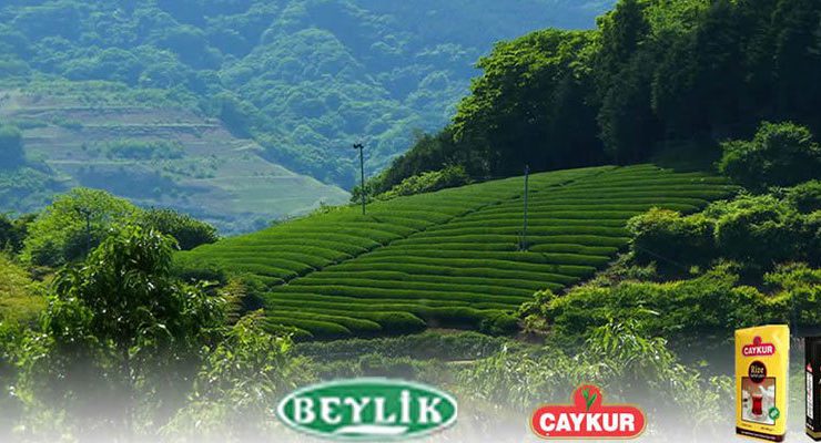 Beylik Çay Fabrikası 17 milyon 500 bin liraya icradan satılık