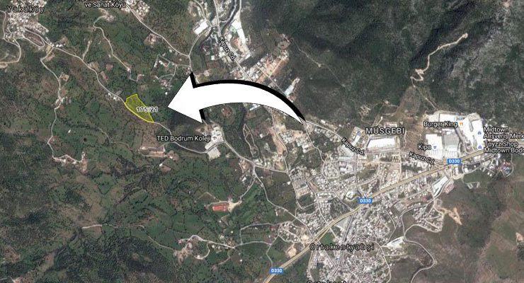 Muğla SGK, Bodrum Yalı’da 21 dönüm zeytinlik satıyor