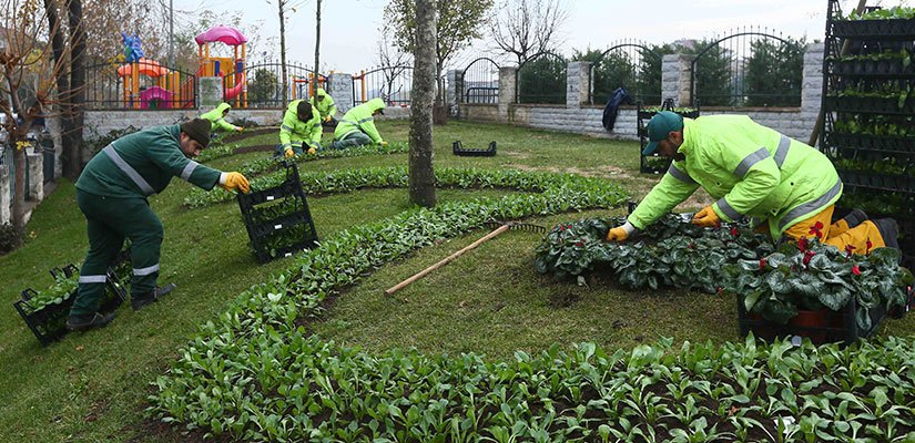 bagcilar-cicek-dikimi