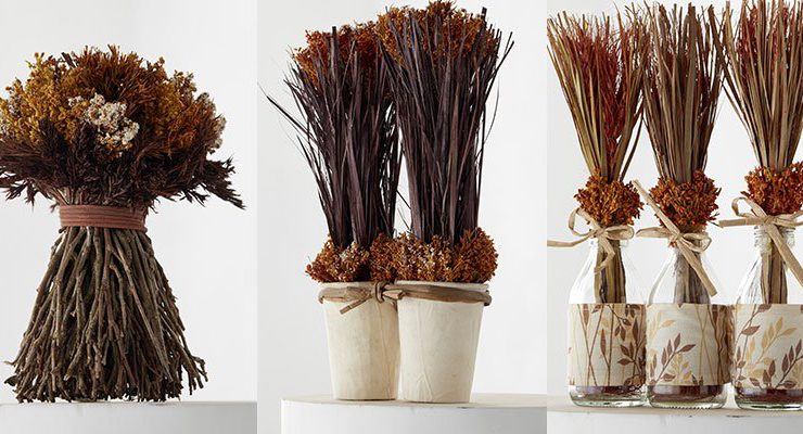 Chakra yeni yılı göz kamaştıran ürünlerle karşılıyor