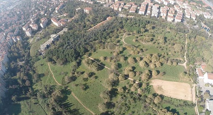 İBB, Validebağ Korusu’nu yapılaşmaya açtı