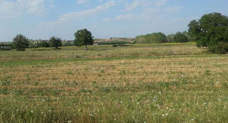 Sümer Holding 9 ilde 10 gayrimenkulü özelleştirecek