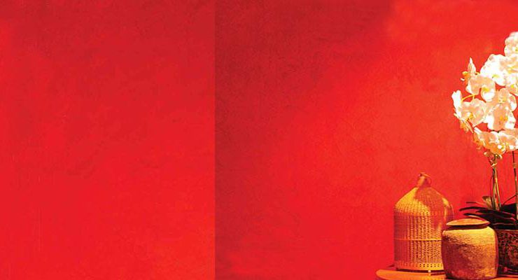 Terraco Antique Stucco ile duvarlar mermer gibi