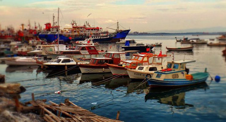 Pendik’e bir milyon liraya balıkçı barınağı yapılıyor