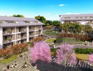 İsviçre’deki gurbetçiler hadi gel Köy’ümüze geri dönelim dedi