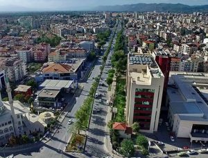 Aydın’da 4,4 milyon TL’ye 12,3 dönüm zeytinlik