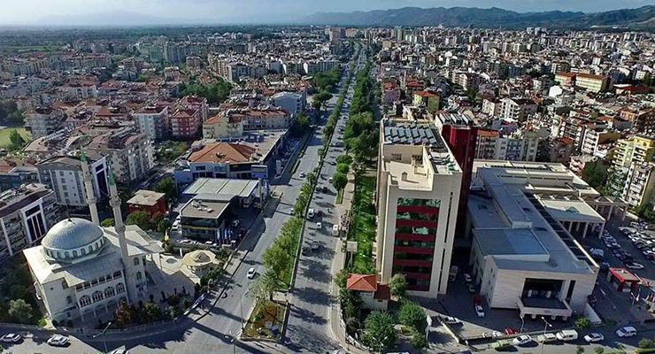 Aydın’da 4,4 milyon TL’ye 12,3 dönüm zeytinlik