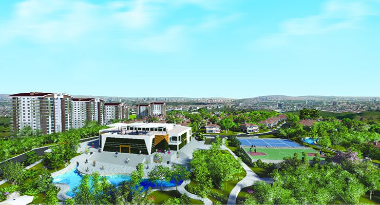 Yeşil dostu projede hane başına 25 ağaçlık koru