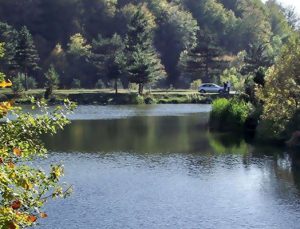 Kütahya Topuk Yaylası tabiat parkı ilan edildi