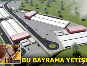 Sancaktepe Paşaköy’e kurban kesim tesisi kuruluyor