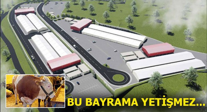 Sancaktepe Paşaköy’e kurban kesim tesisi kuruluyor