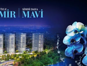 Kaşmir Mavi Orkide’yi anlatan fotoğraflar