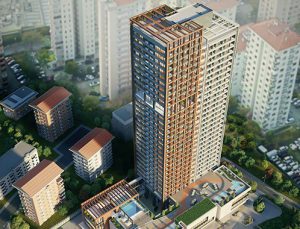 Mesa Koz’un künyesi, rakamsal bilgileri