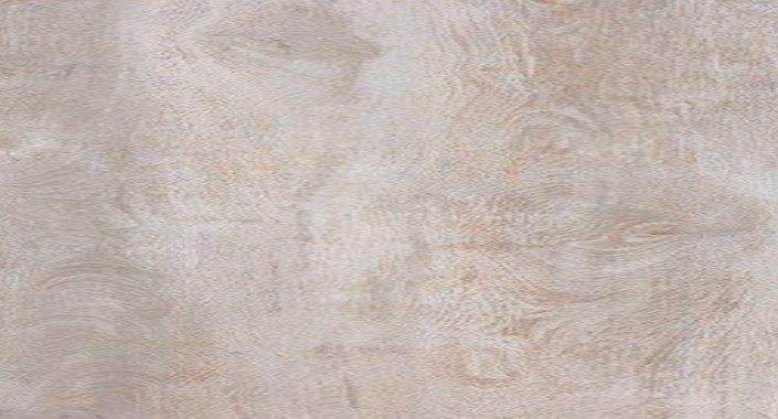 Ahşabın sıcaklığını Woodland ile mekanlarınıza taşıyın